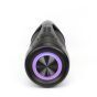 Portable Bluetooth speaker XTREME450 met radio en verlichting, 50 W van LEDWOOD LD-XT450-BT-BLK 