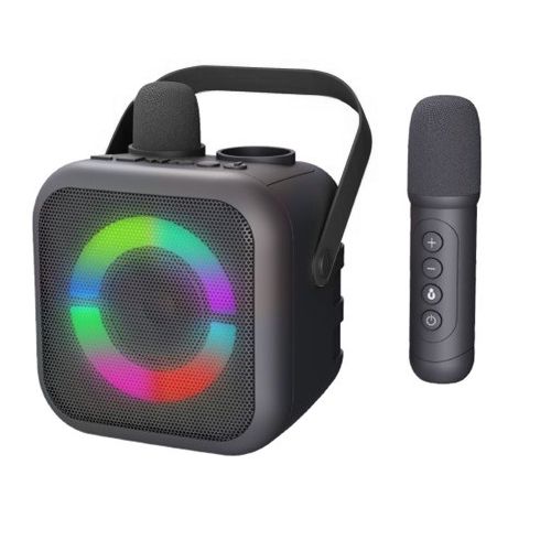 BT2024SW - Soundmaster draagbaar Bluetooth karaokesysteem met 2 Bluetooth microfoons - 4005425012313