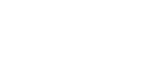 Gizmo Retail b.v.